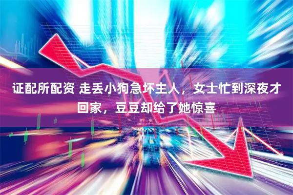 证配所配资 走丢小狗急坏主人，女士忙到深夜才回家，豆豆却给了她惊喜