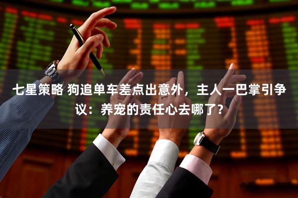 七星策略 狗追单车差点出意外，主人一巴掌引争议：养宠的责任心去哪了？