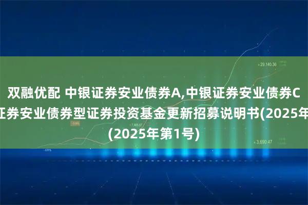 双融优配 中银证券安业债券A,中银证券安业债券C: 中银证券安业债券型证券投资基金更新招募说明书(2025年第1号)