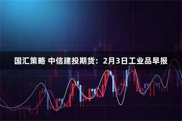 国汇策略 中信建投期货：2月3日工业品早报