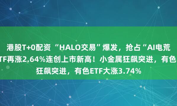 港股T+0配资 “HALO交易”爆发，抢占“AI电荒”风口！电力ETF再涨2.64%连创上市新高！小金属狂飙突进，有色ETF大涨3.74%